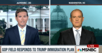 MSNBC Screenshot: Mexico's Fmr. Ambassador to US