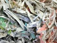 Shredded Documents (Tim Boyle / Getty)