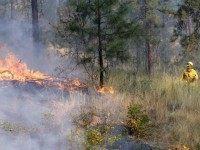 Elaine Thompson, Associated Press