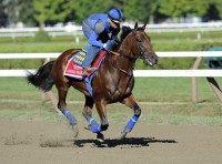 George Alvarez, American Pharoah