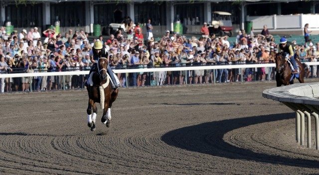 Jorge Alvarez, Calamity Compton