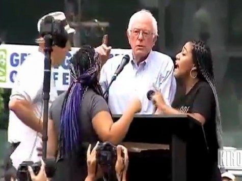 bernie-blm-