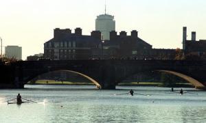 Cyanobacteria outbreak a setback for Charles River