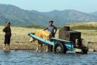 World Food Program: Food aid to North Korea up 110 percent in July