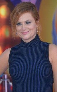 Hulu wants more 'Difficult People,' executive produced by Amy Poehler