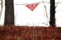 Two South Korean soldiers injured in DMZ land mine explosion