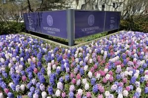 Northwestern University football players blocked from forming union