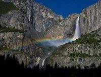 Children killed at Yosemite after tent crushed by falling tree branch