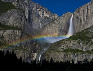 Children killed at Yosemite after tent crushed by falling tree branch