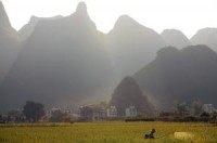 Bystanders try to lift bus off 3-year-old girl trapped under wheel in China