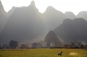 Bystanders try to lift bus off 3-year-old girl trapped under wheel in China