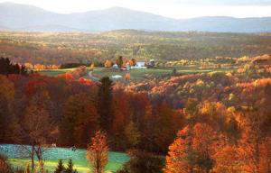 Seasons affect how human eyes process color