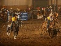 wyoming-university-of-wyoming-cropped