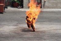 2571203119_3fd349e033_b