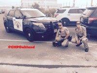 Chicken crossing road (CHP Oakland / Twitter)