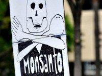 Monsanto