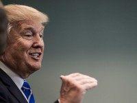 NH Poll: Trumps Leads, Fiorina Surges, Ben Carson Fades