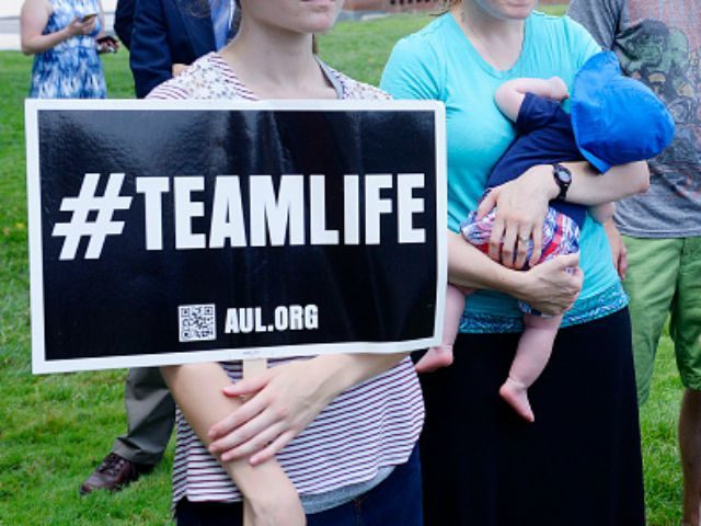 Pro Life Essays