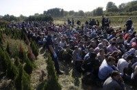 migrants
