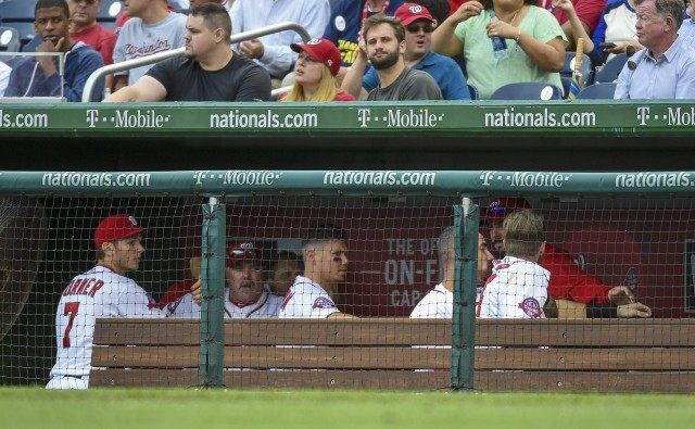 Bryce Harper, Jonathan Papelbon