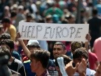 asylum seekers