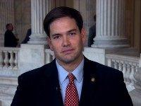 rubio