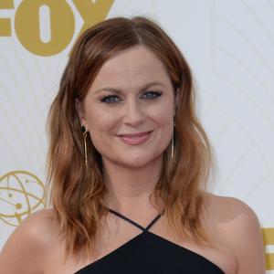 Amy Poehler, Will Ferrell start work on big-screen comedy in LA