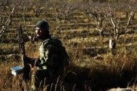 Afghanistan: Security forces kill scores of Taliban, including two commanders