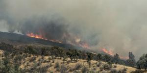 California wildfire grows to nearly 100,000 acres, mandatory evacuation in place