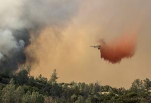 Study: Let wildfires burn, whenever possible
