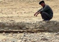 More North Korean defectors report dissatisfaction with life in South