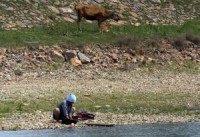 U.S. activist: Seoul has 'nothing' to fight North Korea rights abuses