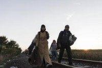 Migrants enter Hungary in record numbers as militarized border plans move forward