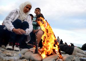 Austria deploying troops, sets border controls in reaction to German controls