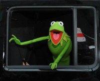 ABC reveals Kermit the Frog's alleged new girlfriend