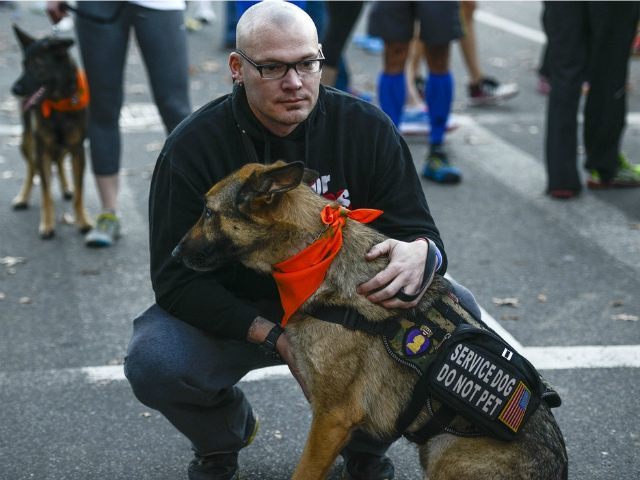 ptsd service dogs american airlines tells veteran with ptsd that service not allowed on flight ptsd service dogs american airlines tells veteran with ptsd that service not allowed on flight