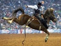 ????????????????????????????????????????????????????????????????????????????????????????????????????????????????????????????????????????????????????????????????????????????????????????????????????????????????????