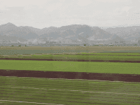 California fields (Joel Pollak / Breitbart News)