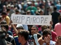 germany migrants