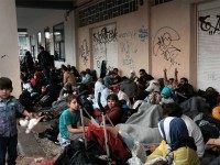 International Organisation for Migration