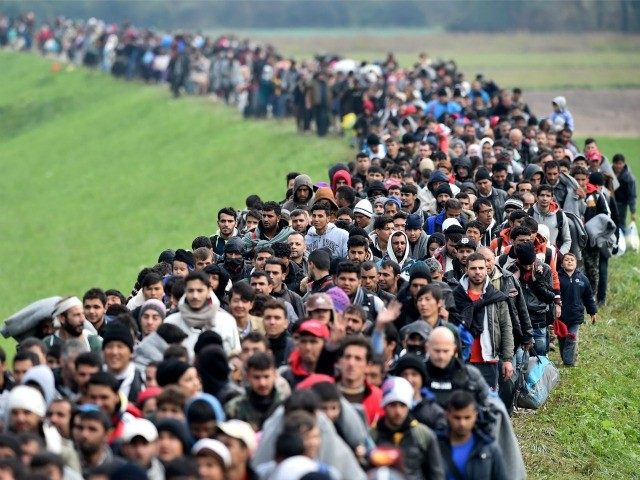 Image result for migrant invasion