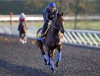 American Pharoah, Jorge Alvarez