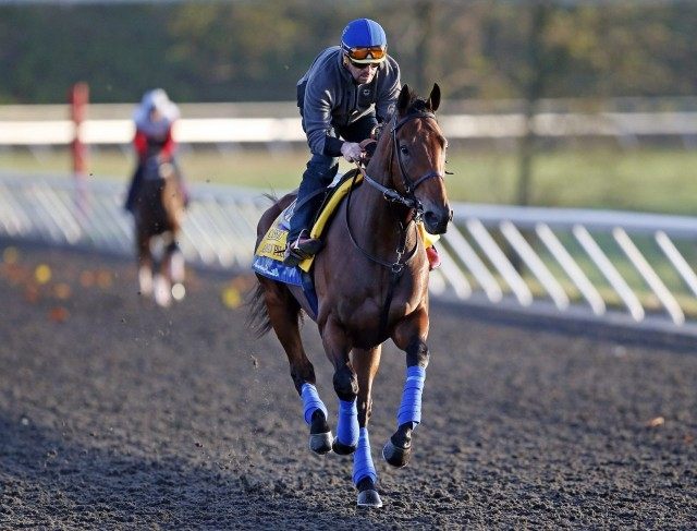 American Pharoah, Jorge Alvarez