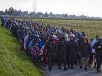 migrant flow