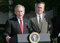George W. Bush, Jeb Bush