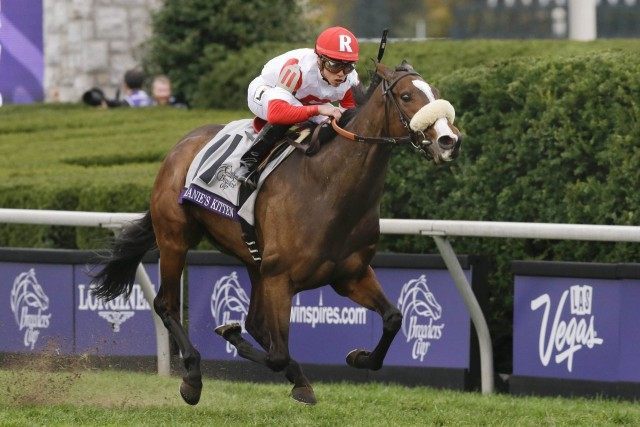 Irad Ortiz Jr, Stephanies Kitten