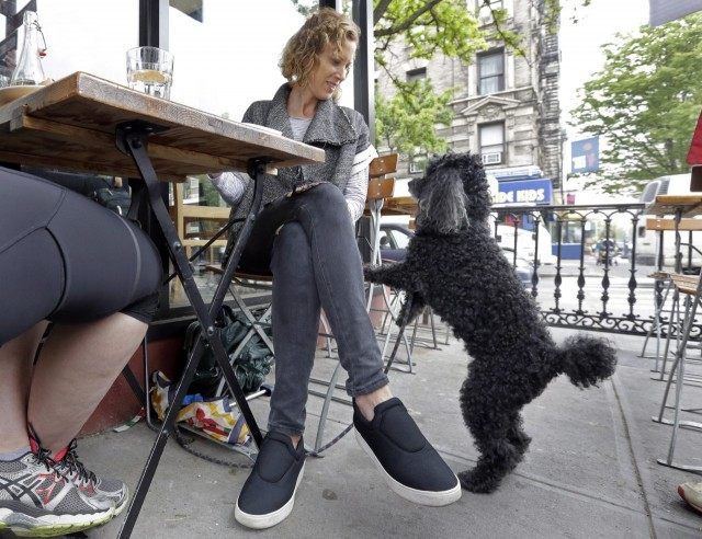 Marni Turner, Dougie