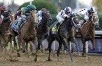 Stopchargingmaria, Javier Castellano, Stellar Wind, Victor Espinoza