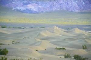 Moroccan shale giving up gas