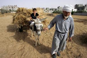 Syria's Arctic seed vault relocated to Morocco, Lebanon